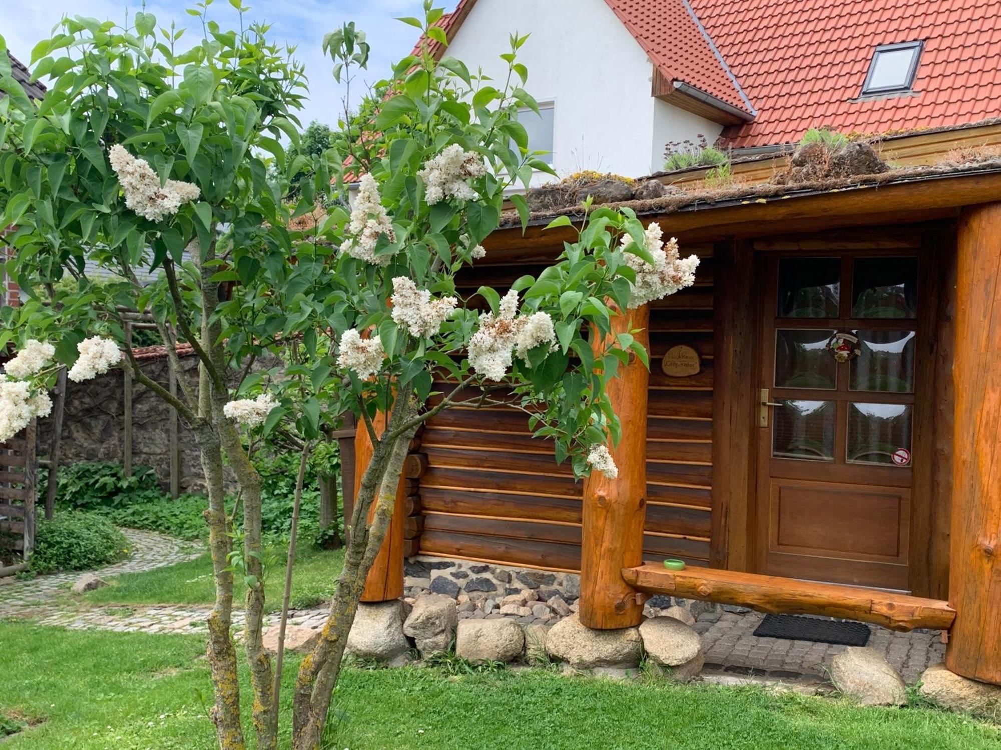 Blockhausvermietung "Vor Dem Groeperntor" Quedlinburg Exterior foto